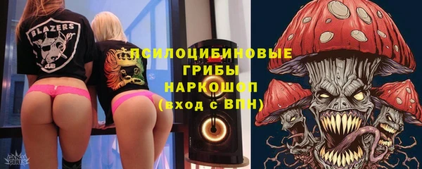 прущий лед Липки